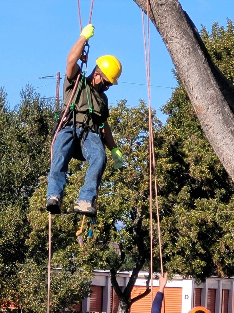 Safety Always Comes First