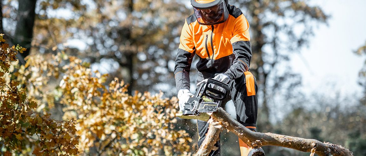 ClearWay Tree Services and Vegetation Management for DOTs